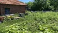 Пчелни семейства и кошери, снимка 8