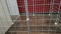 Кошара за куче 120х45см, снимка 4