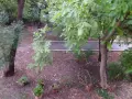OLYMPUS  M4/3 обектив , снимка 6