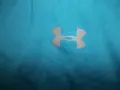 Тениски NIKE, UNDER ARMOUR  мъжки,С-М-Л, снимка 11