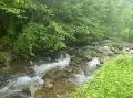 Курорта Рибарица!До река и път!Продавам Масивна жилищна сграда с голям двор , снимка 2