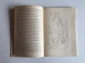 Магматические комплексы центрального типа – Е. В. Свешникова (1973), книга на руски език, снимка 5