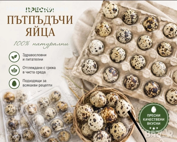 яйца от пъдпъдъци 