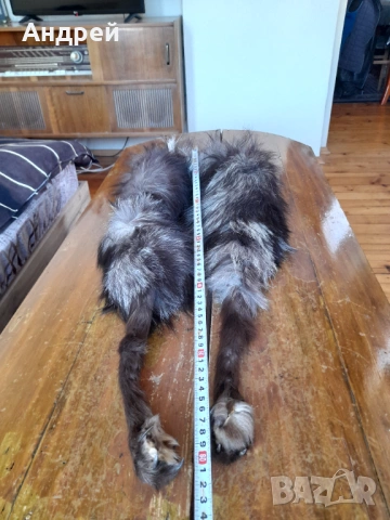 Стара кожена яка, снимка 4 - Други ценни предмети - 54368116