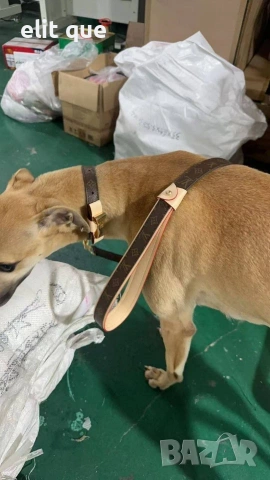 Нашийник Louis Vuitton, снимка 3 - За кучета - 55080578