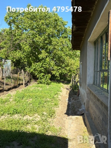 Продавам Къща с лятна кухня, двор и стопанска сграда , снимка 6 - Къщи - 54179017