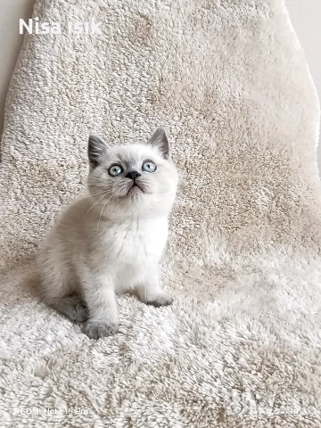 момче не е красив той е уникален в Хасково свикнало с малко детенце