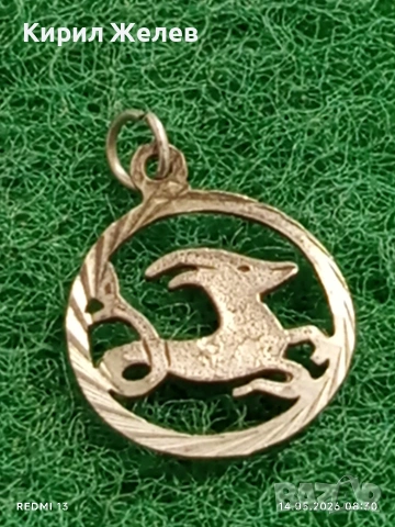 Сребърен медальон зодиакален знак КОЗИРОГ ♑ много красив 16738