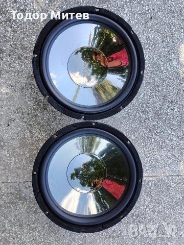 12 " Bass Toxic
