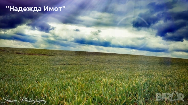 Земеделска земя с.Осеново