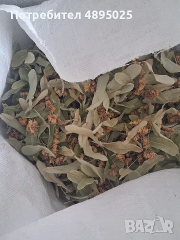 Сушен липов цвят