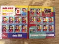 Албум Panini Панини 100% попълнен, снимка 4