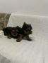 Продавам мини йоркита, снимка 2