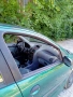 Peugeot 206/Газ-бензин , снимка 7