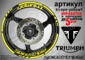 Triumph Speed Triple кантове и надписи за джанти, снимка 10
