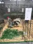Продавам сплаш Розкомб. , снимка 8