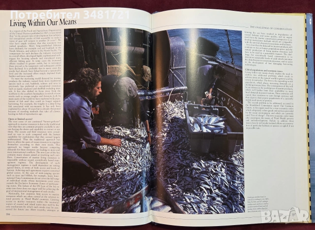 Атлас на океаните / The Random House Atlas of the Oceans, снимка 17 - Пътеводители, карти и атласи - 54960074