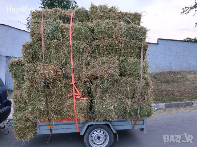 Продавам Балли Чиста Люцерна , снимка 3 - За селскостопански - 55321443