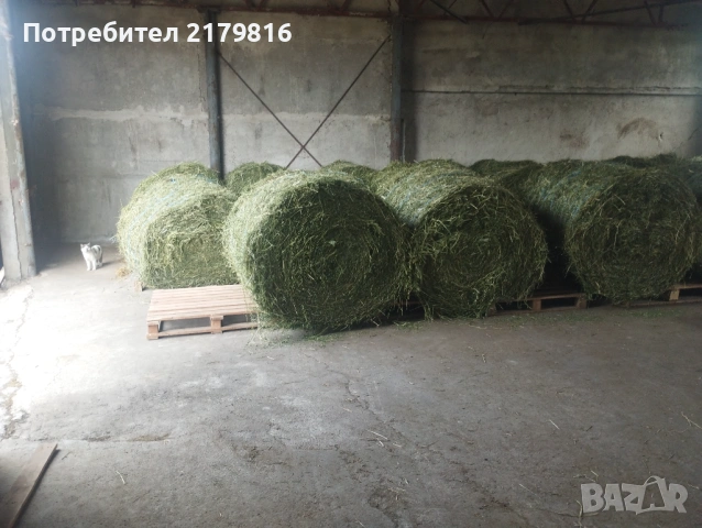 Бали люцерна - малки и рулонни