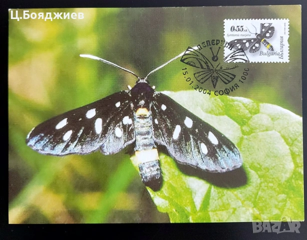 Карти-максимум, Пчели, българия, снимка 2 - Филателия - 55221570