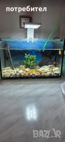Напълно оборудван аквариум с рибки и аксесоари