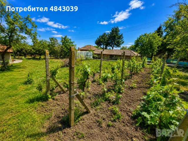 Продава къща с. Мировци , снимка 15 - Къщи - 54728355