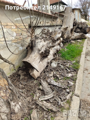 Дървен материал на трупи , снимка 7 - Други - 53972698