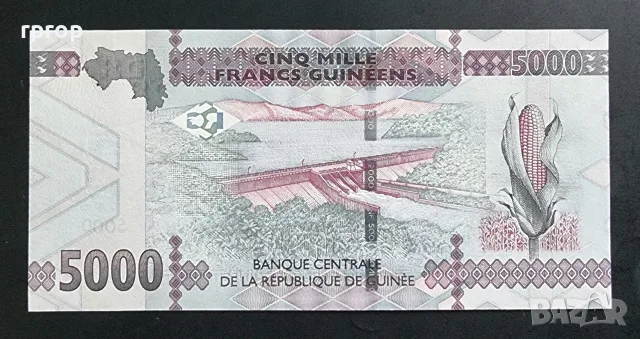 Гвинея . Африка. 5000 франка. 2015 година. UNC., снимка 2 - Нумизматика и бонистика - 47963171