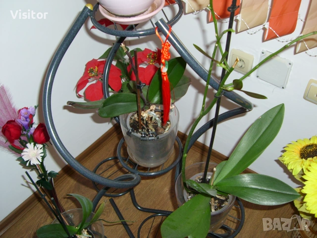 фотоапарат Samsung L70 Digital  , снимка 11 - Фотоапарати - 54254462