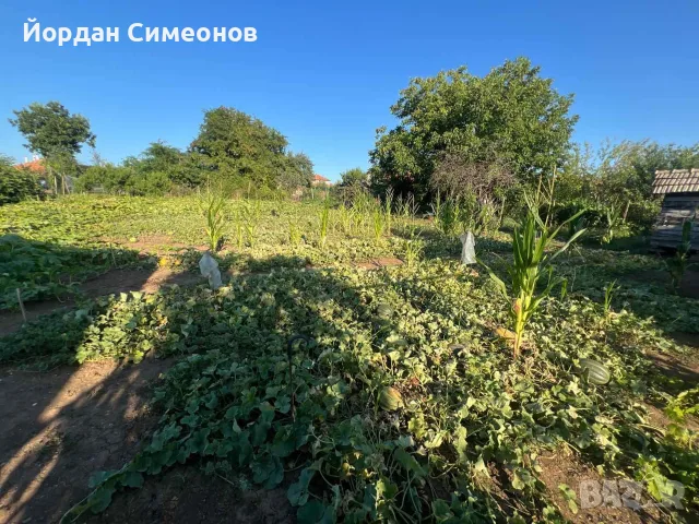 Къща в С. Поликраище , снимка 12 - Къщи - 55500109