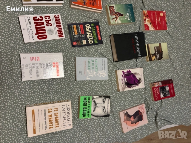 Книги за личностно развитие, психология и бизнес – отлично състояние (прочетени 1 път)  9.78 лв. / 5, снимка 2 - Художествена литература - 54929859