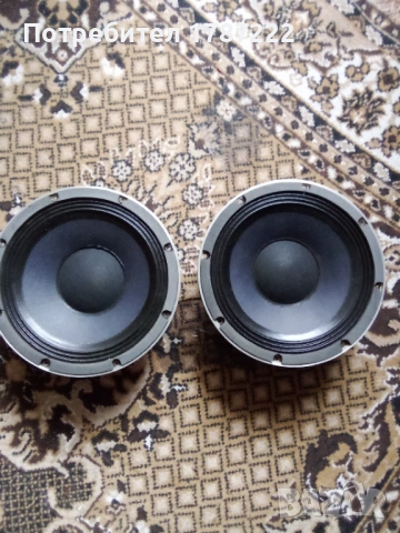 Говорители 10 инча., снимка 2 - Тонколони - 54176784