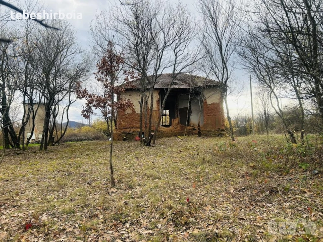Поземлен имот, с.Осиковица, София област, общ.Правец, снимка 4 - Парцели - 54689558