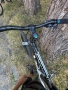 Scoot, снимка 6