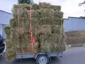 Продавам Балли Чиста Люцерна , снимка 3