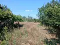 Къща с 2 декара двор, снимка 2