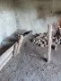 Къща, земя и малка гора – на 20 минути от град Плевен, снимка 12