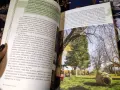 Две нови илюстровани книги - за щастието, приключенията, снимка 13