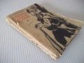 Книга "Хайдутин майка не храни - Орлин Василев" - 250 стр., снимка 7
