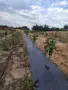 ОВОЩНА ГРАДИНА ЧЕРЕШИ И СМОКИНЯ 20 ДЕКАРА, снимка 1
