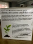 Био разпалки за барбекю и печки на дърва, снимка 3