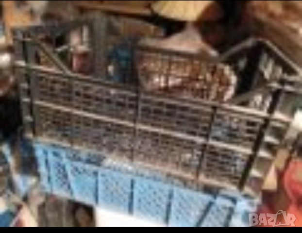 Щайги за плодове и зеленчуци. Пластмасови касетки , снимка 4 - Други стоки за дома - 54348794