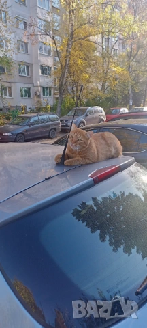 Товаро-Разтоварни Услуги Студенти 