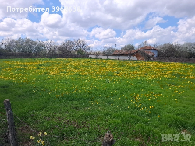 Продавам дворно място в регулация в с. Бохот област г. Плевен 