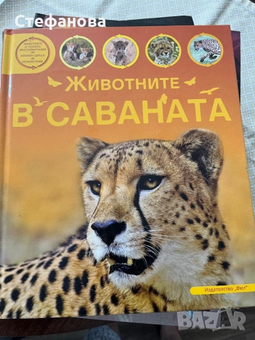 Енциклопедии