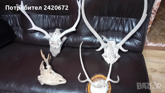 ловни трофей рядки модели, снимка 2 - Други - 55267742