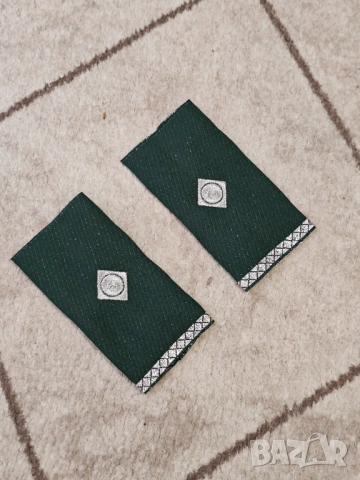 Пагони Гранична полиция