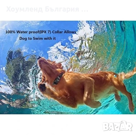 Обучителен нашийник за дресиране на куче, снимка 4 - За кучета - 54774725