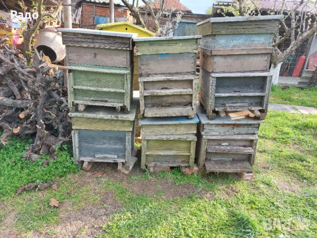 Кошери с магазини 