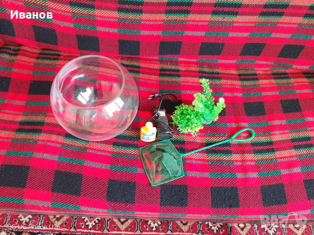Аквариум+оборудване, снимка 4 - Аквариуми - 54167346